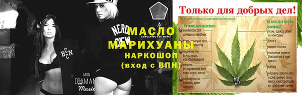 spice Инта