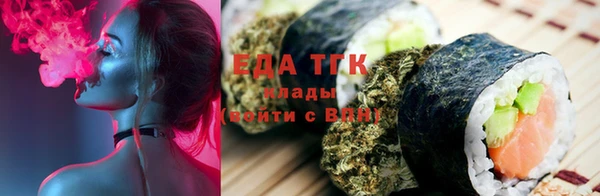 spice Инта