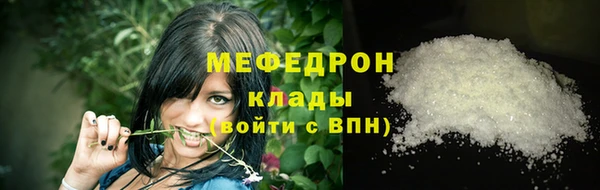 spice Инта