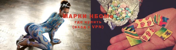 spice Инта