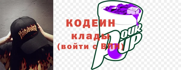 spice Инта