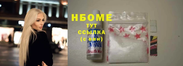 spice Инта
