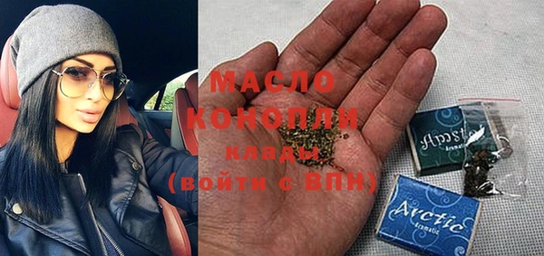 spice Инта