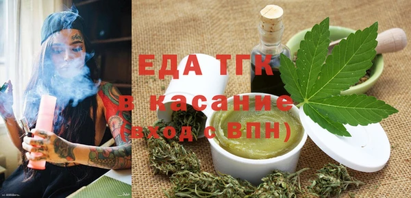 spice Инта