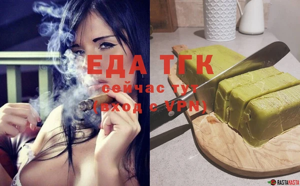 spice Инта