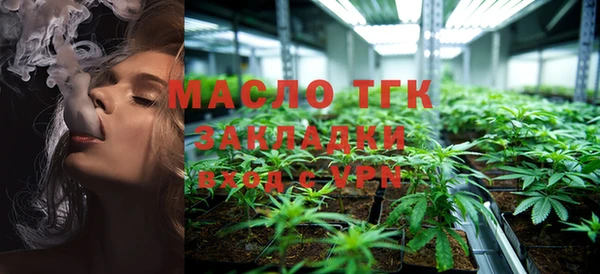 spice Инта
