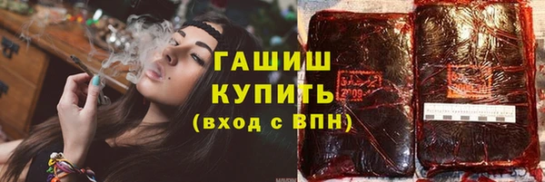 spice Инта