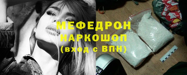 spice Инта