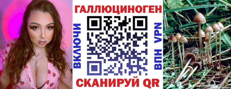 Псилоцибиновые грибы MAGIC MUSHROOMS Купить Усть-Кут